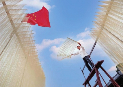 医疗保障工, 情况作整体